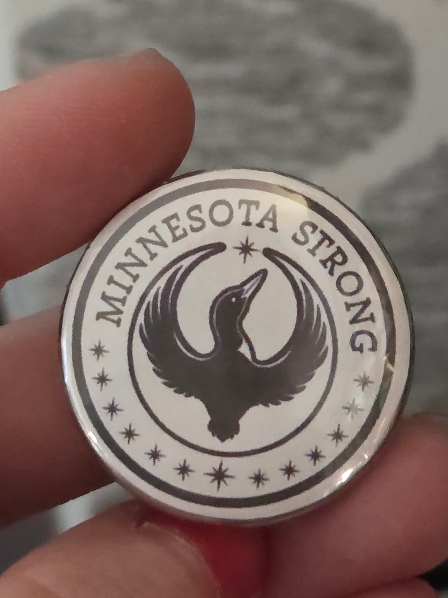 FDT, Minnesota Strong Rebel Loon, No Kings, Pride Button Pins