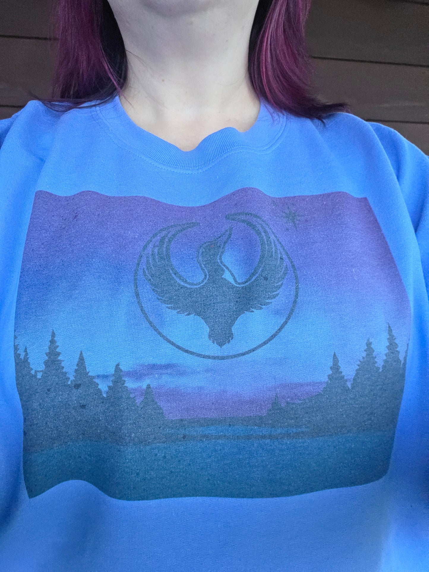 Northern Lights Rebel Loon Sweatshirt